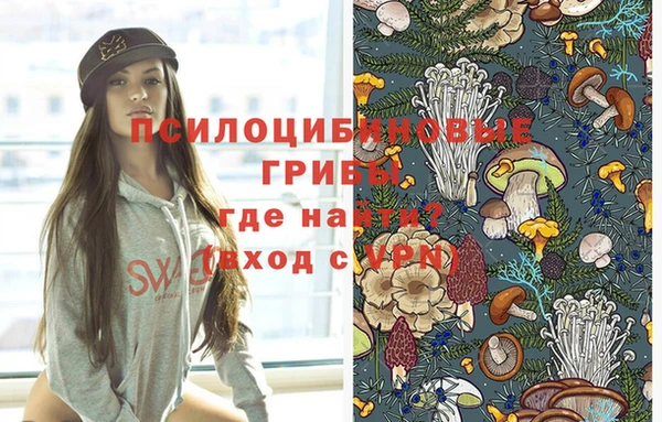 таблы Бородино