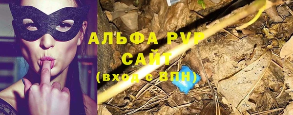 таблы Бородино