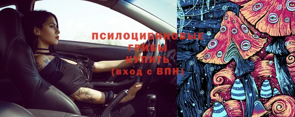гидра Богородск